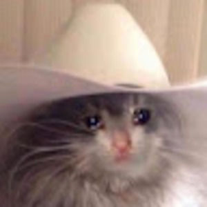 Meet your Posher, Raine